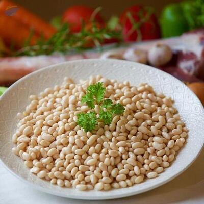 resources of White Kidney Beans exporters