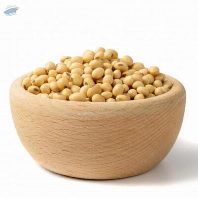 resources of Soybean Non-Gmo exporters