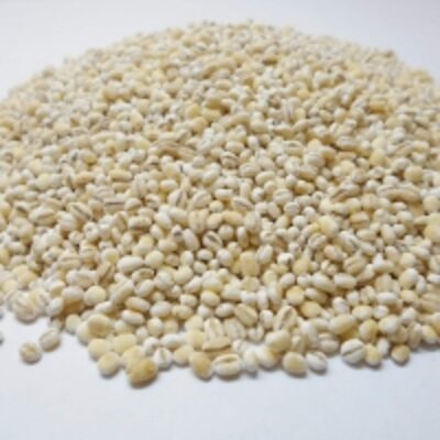 resources of Pearl Barley exporters