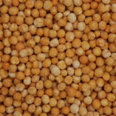 resources of Whole Peas Yellow Polished exporters