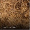 Coco - Cut Fibre Exporters, Wholesaler & Manufacturer | Globaltradeplaza.com
