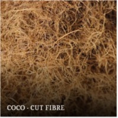 resources of Coco - Cut Fibre exporters
