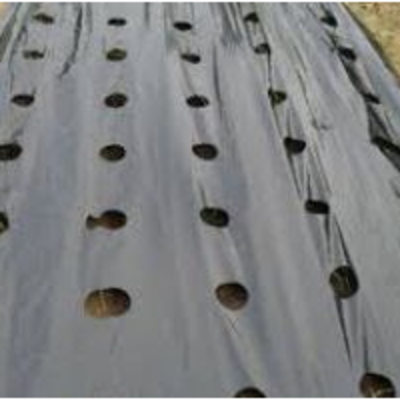 resources of Mulching Film exporters