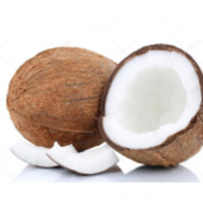 resources of Fresh Matured Coconut exporters