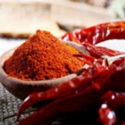 resources of Hot Chilli Powder exporters