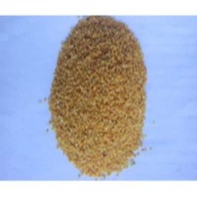 resources of Mustard Seed (Rai Kuriya) exporters