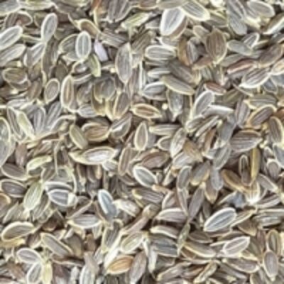 resources of Dill Seeds exporters