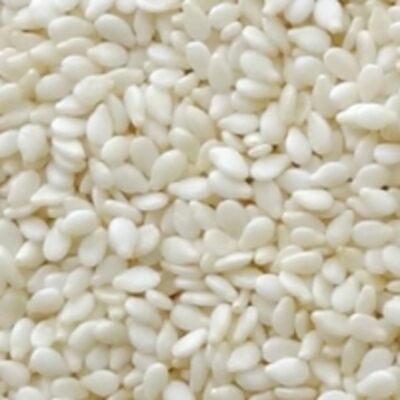 resources of Hulled Sesame Seeds exporters