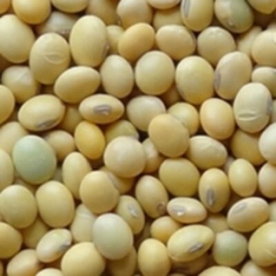resources of Soybeans exporters