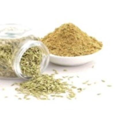 resources of Fennel Powder exporters