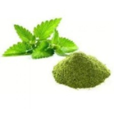 resources of Mint Powder exporters