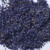 Blue Cornflower Petals Exporters, Wholesaler & Manufacturer | Globaltradeplaza.com