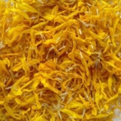 resources of Dried Yellow Marigold Petals exporters