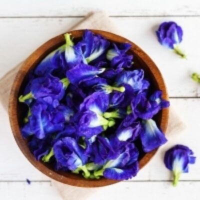 resources of Dried Butterfly Pea Flower exporters