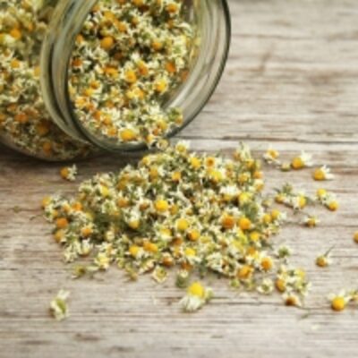 resources of Dried Chamomile Flower exporters