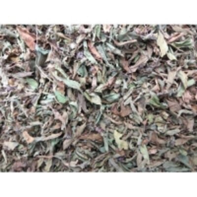 resources of Dried Basil Leaves Tea Bag Cut exporters