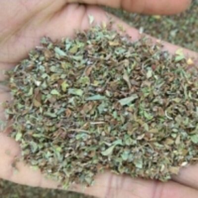 resources of Dried Vana Tulsi Leaves Tea Bag Cut exporters