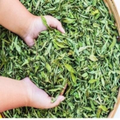resources of Dried Stevia Leaves exporters