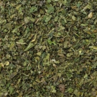 resources of Dried Nettle Leaves exporters