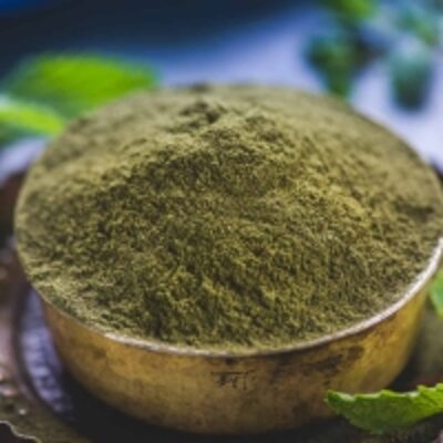 resources of Dried Mint Leaves Powder exporters