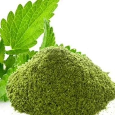 resources of Dried Peppermint Leaves Powder exporters