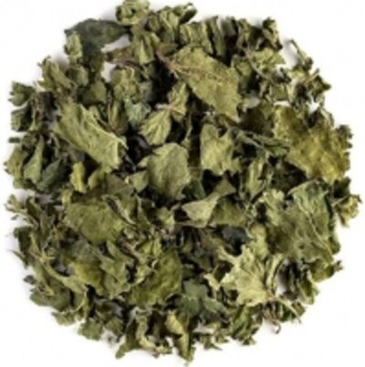 resources of Dried Nettle Leaves Tea Bag Cut exporters