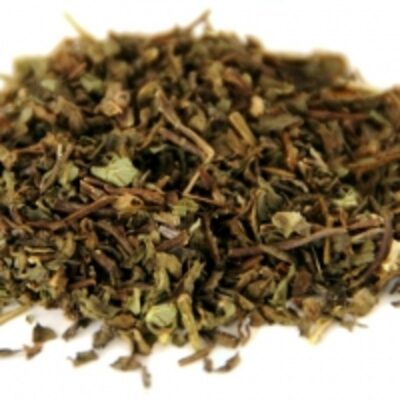 resources of Dried Spearmint Leaves Tea Bag Cut exporters