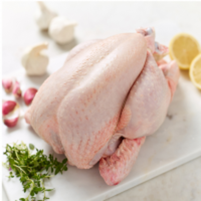 resources of Whole Chicken exporters