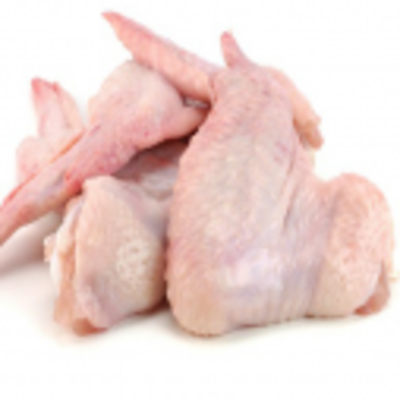 resources of Turkey Wings exporters