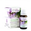 Organic Salvia Officilalis Essential Oil - Alba Exporters, Wholesaler & Manufacturer | Globaltradeplaza.com