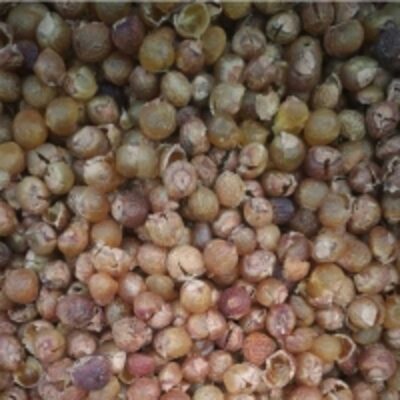 resources of Soap Nuts exporters