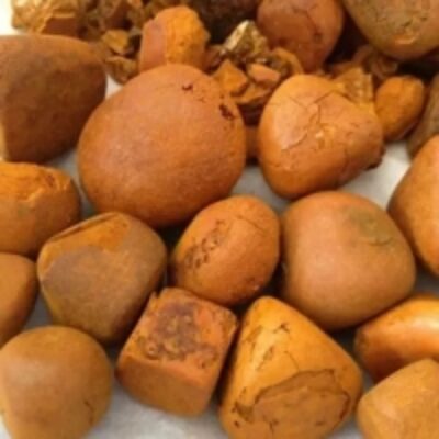 resources of Ox Gallstone exporters