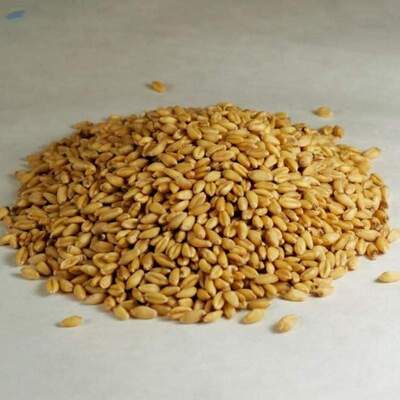 resources of Barley exporters