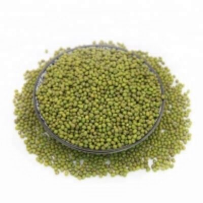resources of Green Mung Beans For Human Consumption exporters