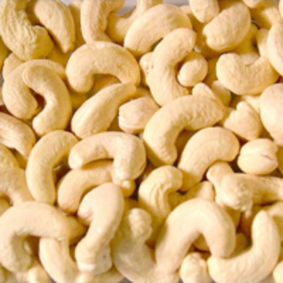 resources of Cheap Raw Cashew Nuts exporters
