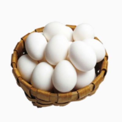 resources of Fresh White Chicken Eggs exporters