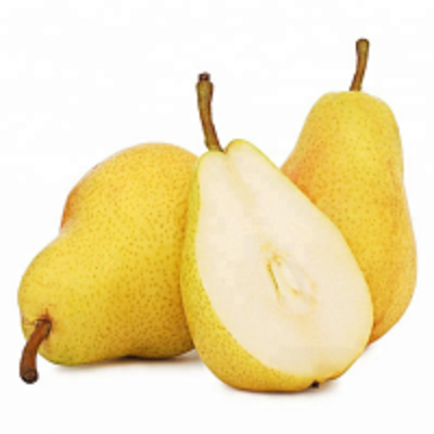resources of Pear exporters