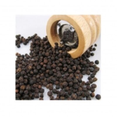 resources of Condiment Spice Black Pepper With High Quality exporters