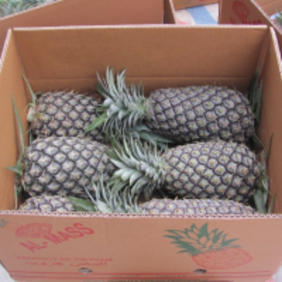 resources of Natural Fresh Juicy Pineapple exporters