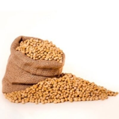 resources of High Quality Dried Yellow Soybeans exporters