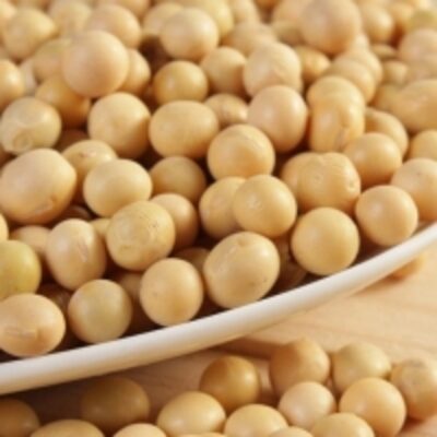 resources of New Crop Yellow Soybean With High Quality exporters