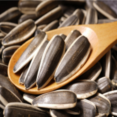 resources of Sunflower Seeds exporters