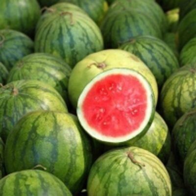 resources of Flesh Watermelon exporters