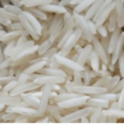 resources of Sharbati Rice exporters