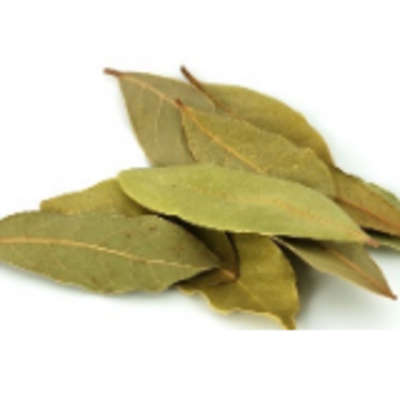 resources of Spices Whole - Bay Leaves exporters