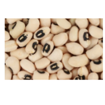 resources of Pulses/lentils - Black Eye Beans exporters