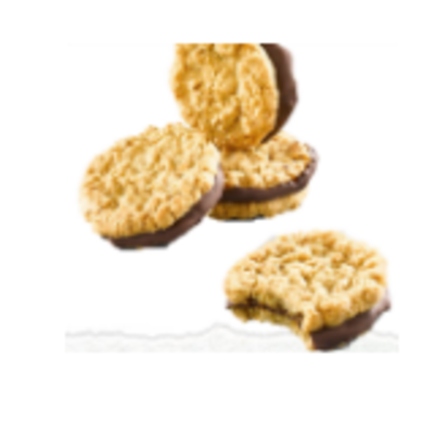 resources of Biscuits - Organic Oat Chocolate Coated Cookie exporters