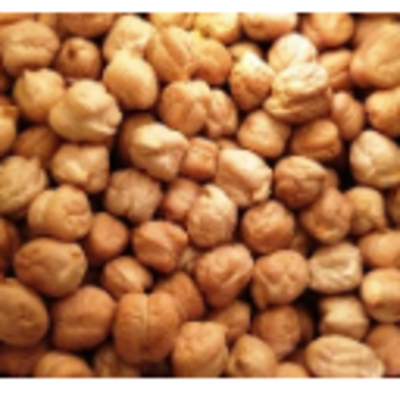 resources of Pulses/lentils - Chick Peas White exporters