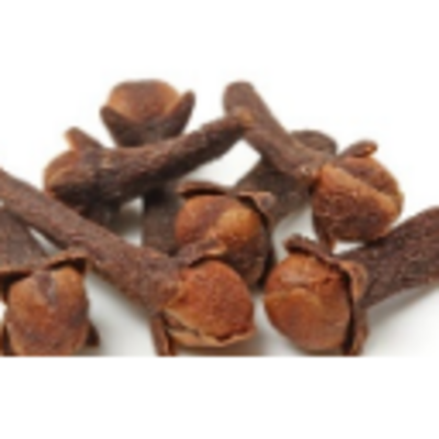 resources of Spices Whole - Cloves exporters
