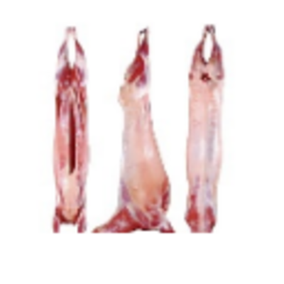 resources of Buffalo Meat Cuts -  Buffalo Carcass exporters